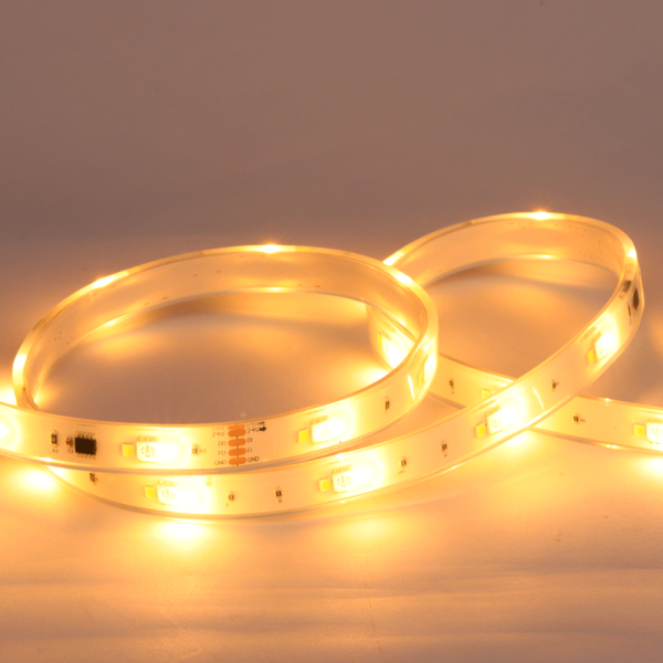 Lotus LED Lights RGBTW Tape Light – LBL-5050-2835-72P-24V-10MM-RGBTW-SPI-IP65