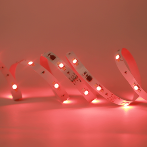 BL-5050-2835-72P-24V-10MM-RGBTW-SPI-IP20-red-web