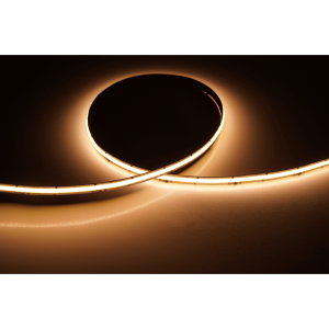 ES-FSCOBWWW-24-2-DTW-web-2